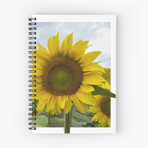 Item preview, Sunflower designed and sold by vaniavision.