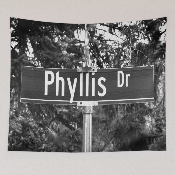 Item preview, A Street Sign Named Phyllis designed and sold by jcwest.