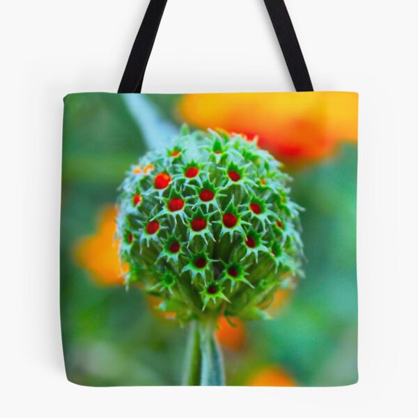 Item preview, Ilumina designed and sold by equilibrio.