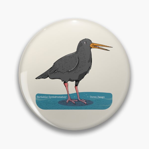Item preview, Variable oystercatcher Torea pango designed and sold by piedaydesigns.