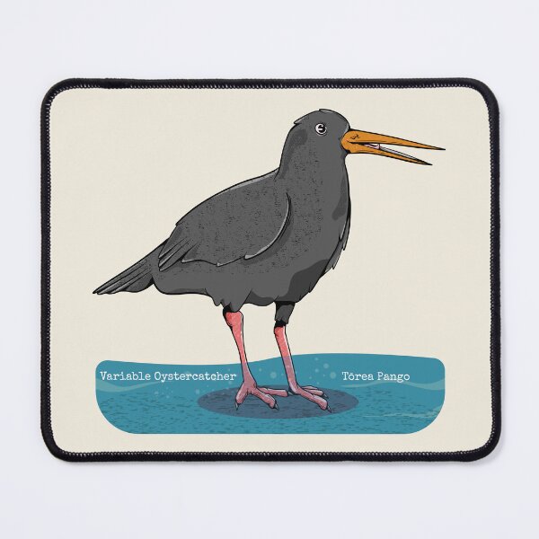 Item preview, Variable oystercatcher Torea pango designed and sold by piedaydesigns.