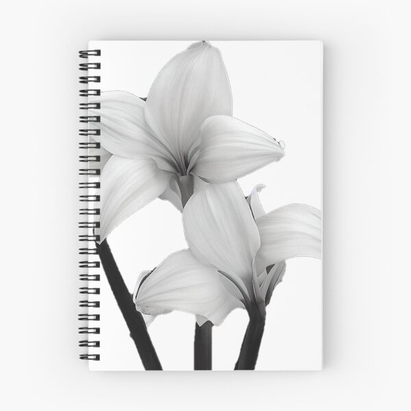 Item preview, Sola flor de Amarilis designed and sold by David-Howells.