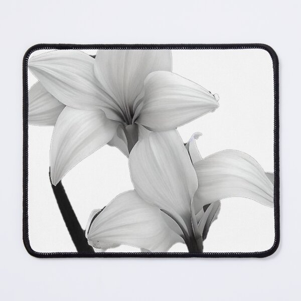 Item preview, single Amaryllis flower designed and sold by David-Howells.