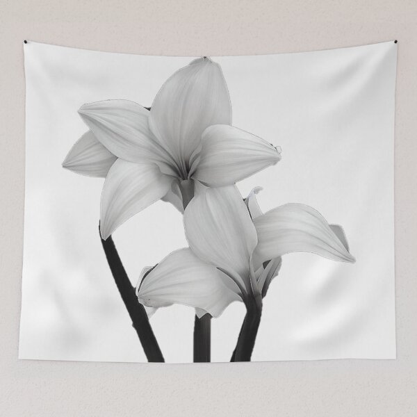 Item preview, single Amaryllis flower designed and sold by David-Howells.