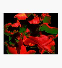Can you Guess???? Photographic Print