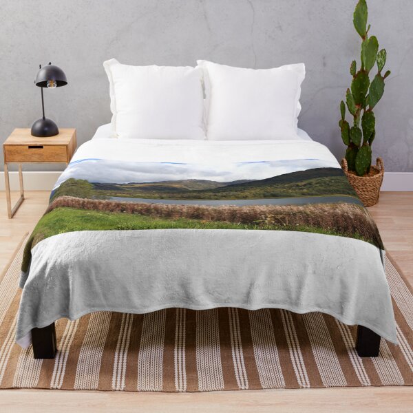 Item preview, Around Kenai (panorama) designed and sold by zumi.