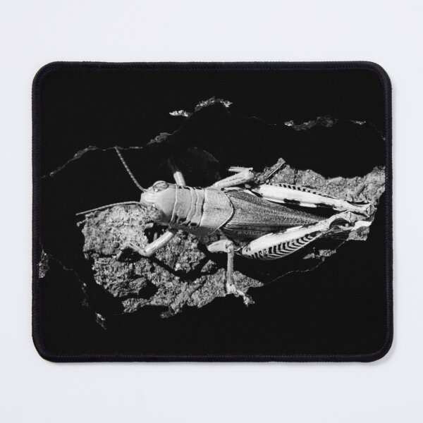 Item preview, Grasshopper in a hole designed and sold by homesteadswag.