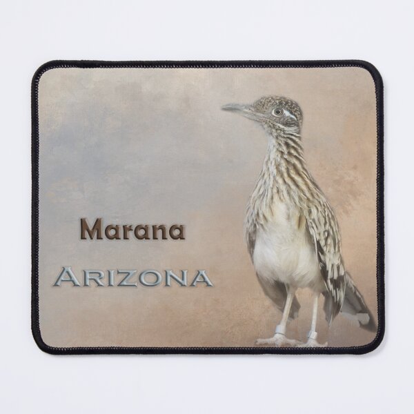 Artikelvorschau, Roadrunner Marana Arizona entworfen und verkauft von Elisabeth Lucas.