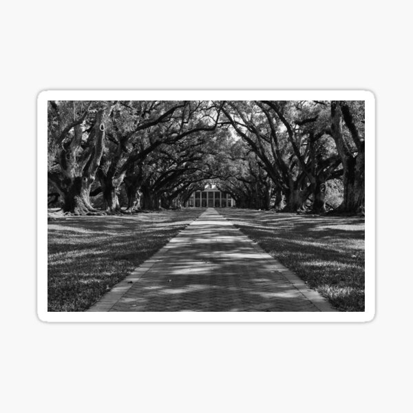 Item preview, Oak Alley designed and sold by okomedesign.