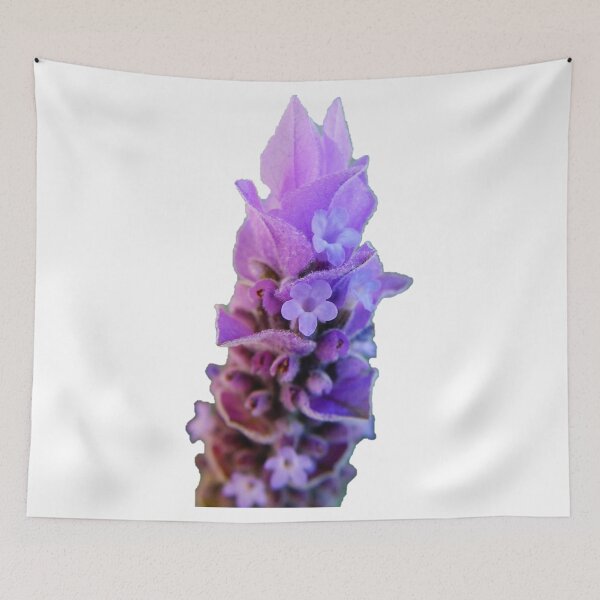 Item preview, Single Lavender flower head designed and sold by David-Howells.