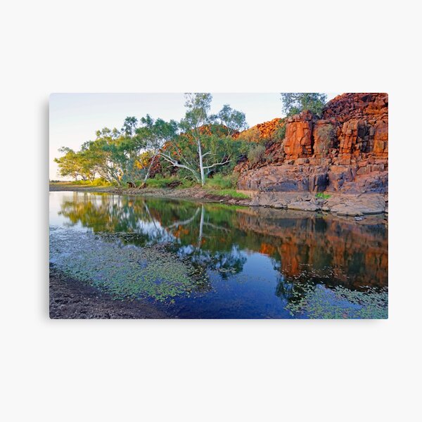 Outback Pool Canvas Print