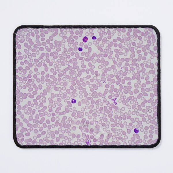 Item preview, CBC/ Whole Blood Count designed and sold by Panicked Pixie.