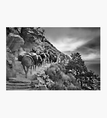 Travel West - Arizona Photographic Print