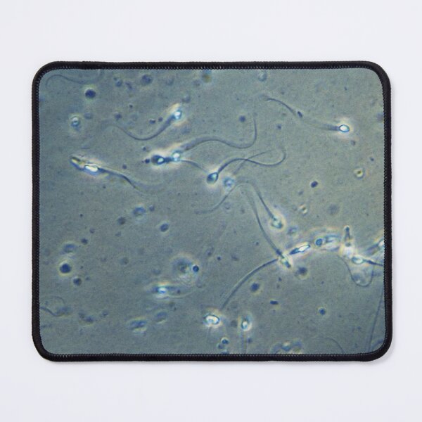 Item preview, Semen Analysis 2 designed and sold by Panicked Pixie.
