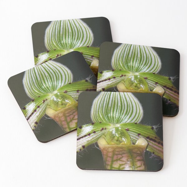 Item preview, Brains! designed and sold by okomedesign.