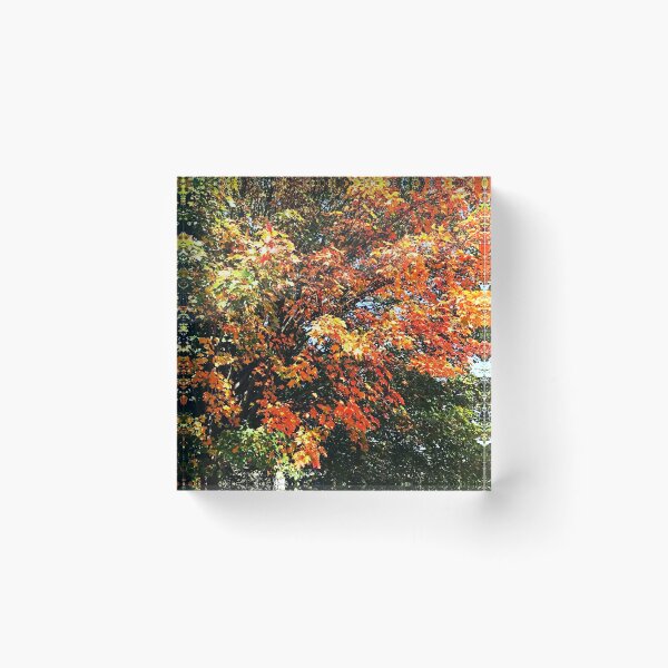Item preview, AUTUMN'S BEAUTY  designed and sold by JoAnnHayden.