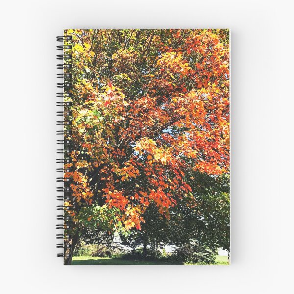 Item preview, AUTUMN'S BEAUTY  designed and sold by JoAnnHayden.