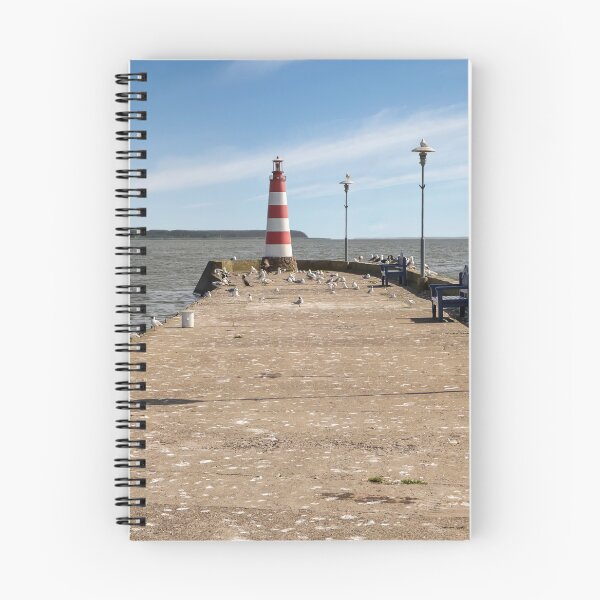 Item preview, Lighthouse in lagoon near Nida designed and sold by Geraldas Galinauskas.