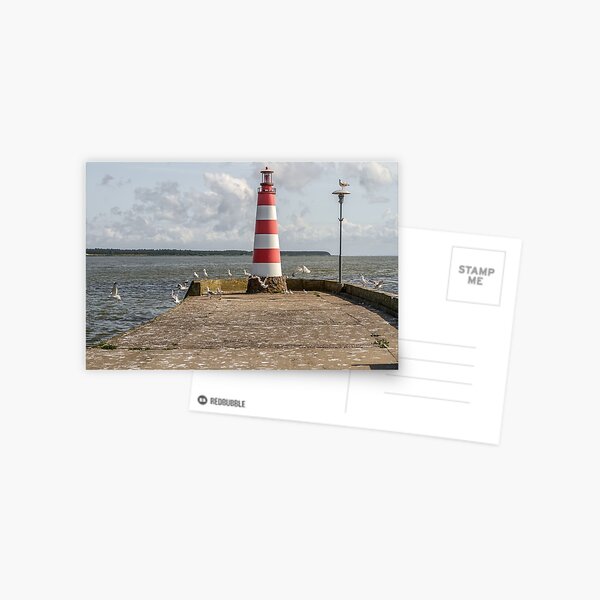 Item preview, Birds near  lighthouse designed and sold by Geraldas Galinauskas.