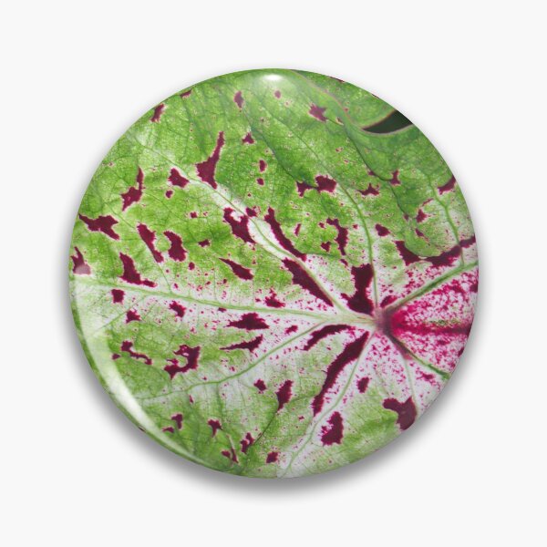 Item preview, Caladium Spots designed and sold by okomedesign.