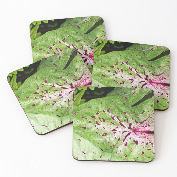 Item preview, Caladium Spots designed and sold by okomedesign.