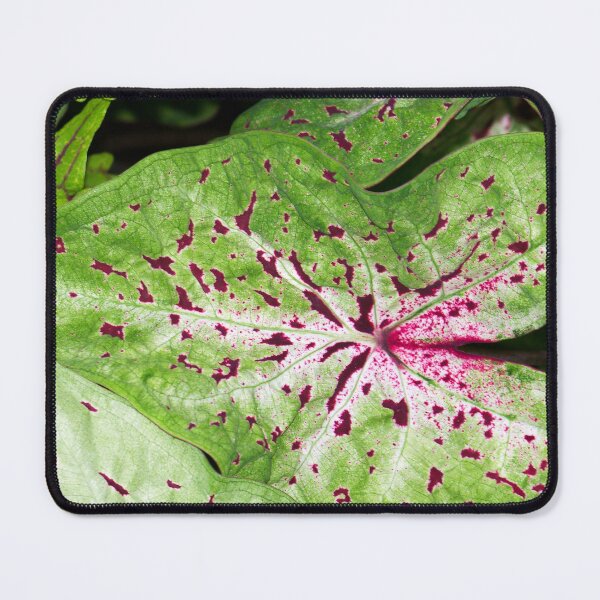 Item preview, Caladium Spots designed and sold by okomedesign.