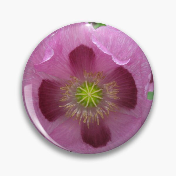 Item preview, Pink Breadseed Poppy designed and sold by Betty Mackey.