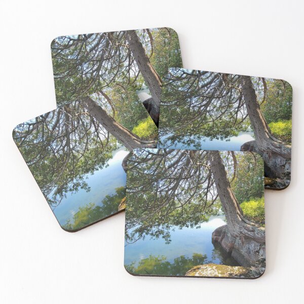 Item preview, Eagle Lake Cedar Tree designed and sold by KbugScience.
