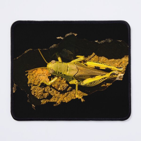 Item preview, Grasshopper in a hole designed and sold by homesteadswag.
