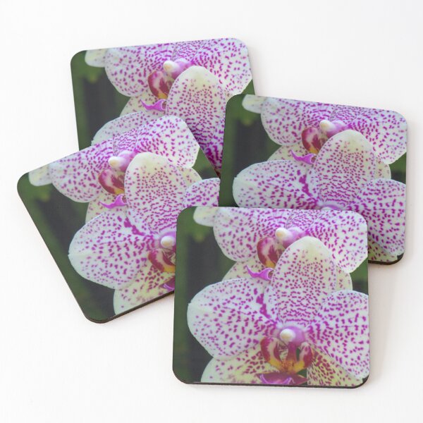 Item preview, Phalenopsis Trio designed and sold by okomedesign.