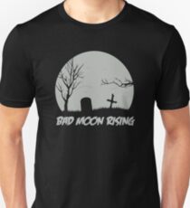 Camiseta ajustada sobresaliendo como una miniatura gris por el camino de Emerson y su roca de granito