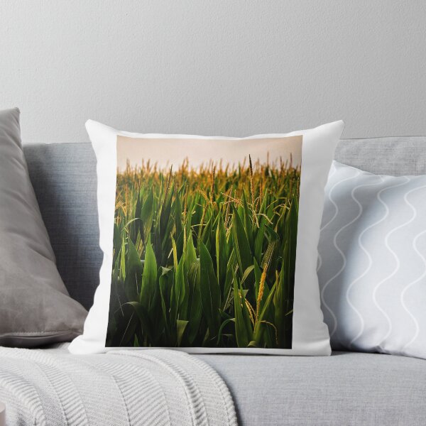 Item preview, Corn Field with Tassels  designed and sold by cornman4960.