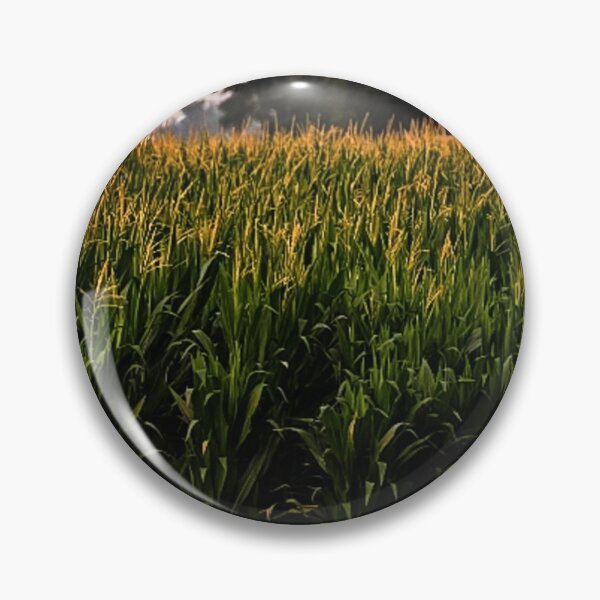 Item preview, Corn Field  designed and sold by cornman4960.