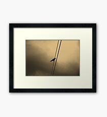 Wire Framed Print