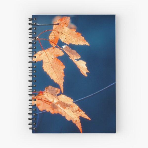 Item preview, Fall Time designed and sold by cinema4design.