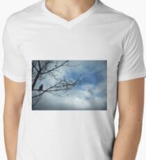 Look Men's V-Neck T-Shirt