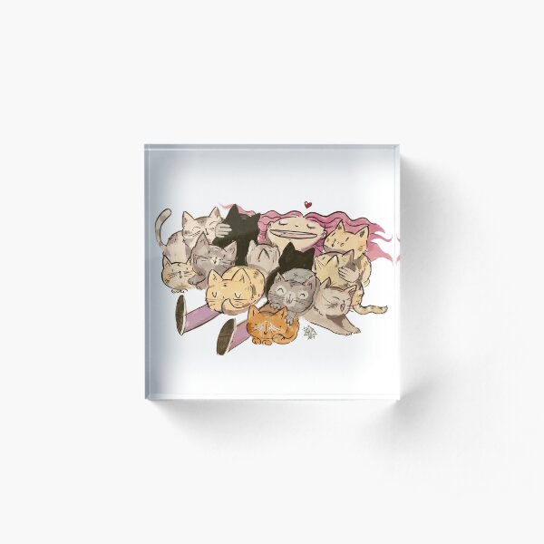 Cat heaven! Acrylblock