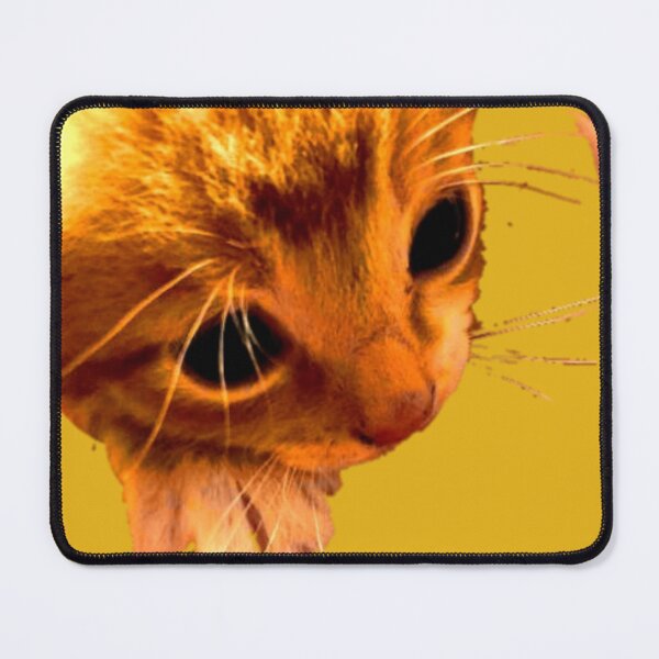Item preview, Warm Kitten designed and sold by ontological.