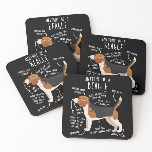 Item preview, Beagle Dog Anatomy designed and sold by Clara Hollins.
