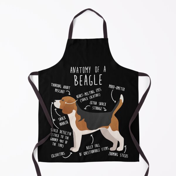 Item preview, Beagle Dog Anatomy designed and sold by Clara Hollins.
