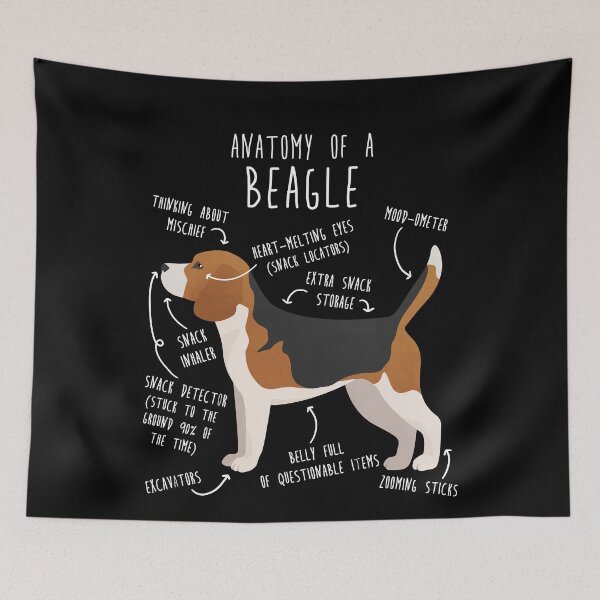 Item preview, Beagle Dog Anatomy designed and sold by Clara Hollins.