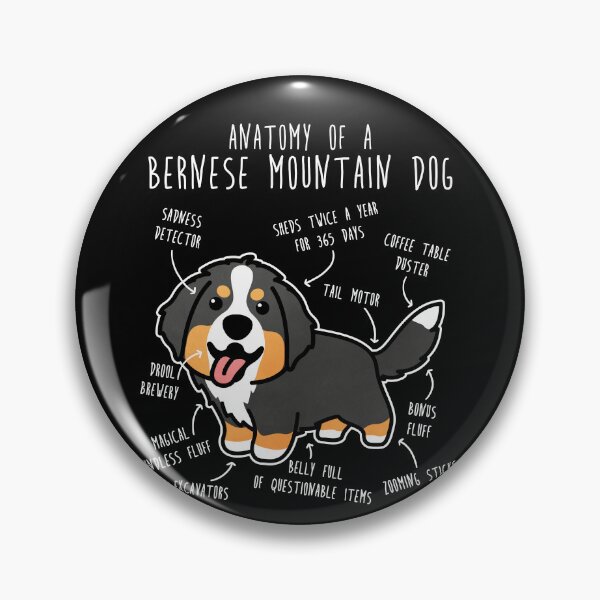 Item preview, Bernese Mountain Dog Anatomy designed and sold by Clara Hollins.