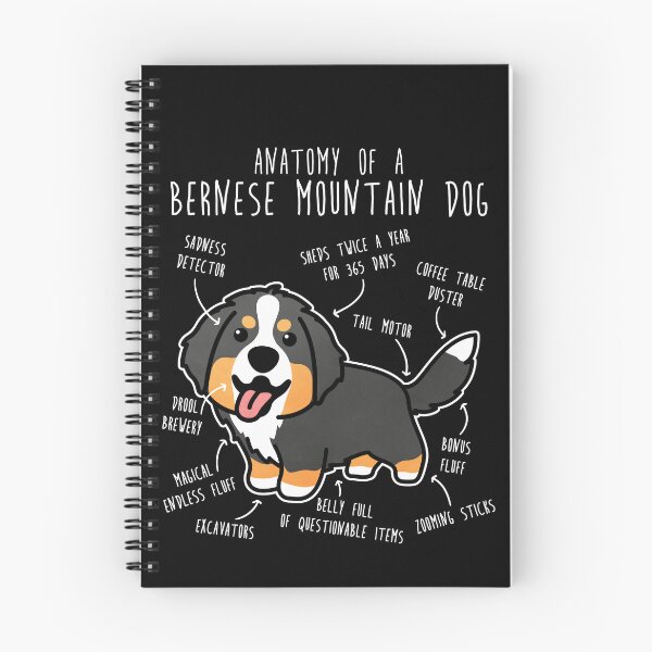 Item preview, Bernese Mountain Dog Anatomy designed and sold by Clara Hollins.
