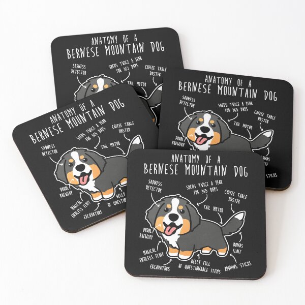 Item preview, Bernese Mountain Dog Anatomy designed and sold by Clara Hollins.