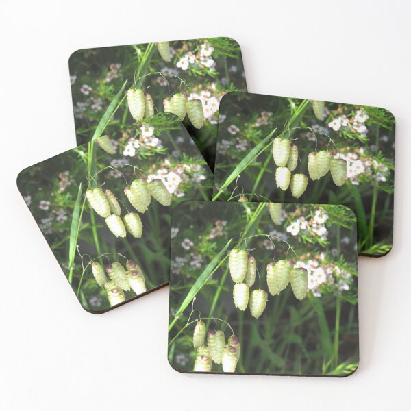 Item preview, Briza maxima grass designed and sold by greentiger1.