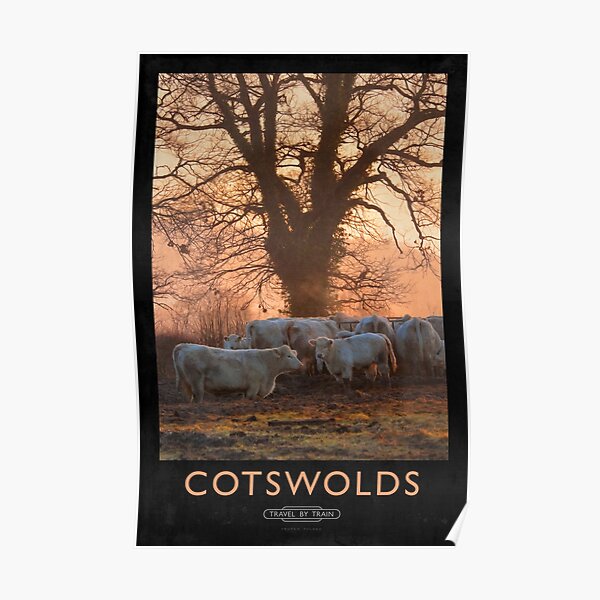 Cotswolds Railway Poster Poster