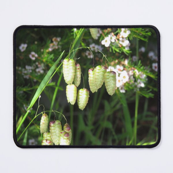 Item preview, Briza maxima grass designed and sold by greentiger1.