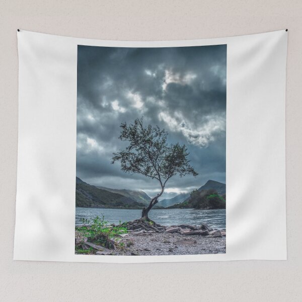 Item preview, The Lone Tree designed and sold by Anthony Hedger Photography.