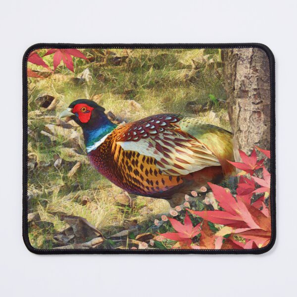 Item preview, Ring-Necked Pheasant In Autumn designed and sold by Heathermarie321.
