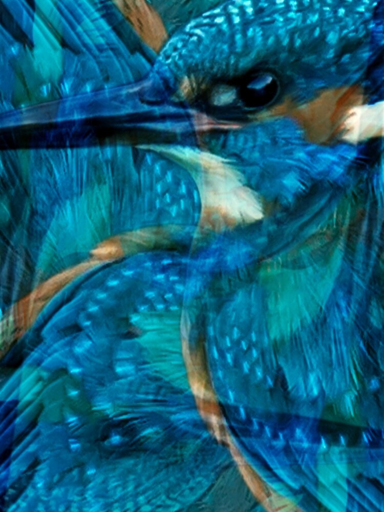Designs Inspired By Nature: Kingfisher by AliusImago